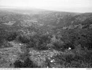 Aghyl Dere in which General Baldwin's British Brigade, including the 9th Worcestershire Regiment suffered heavily. Photograph taken under the direction of Captain C E W Bean, the Australian official historian in February and March, 1919.